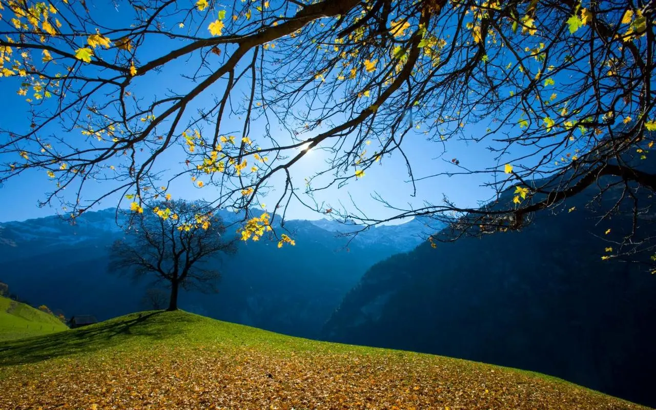 智慧制造自动化